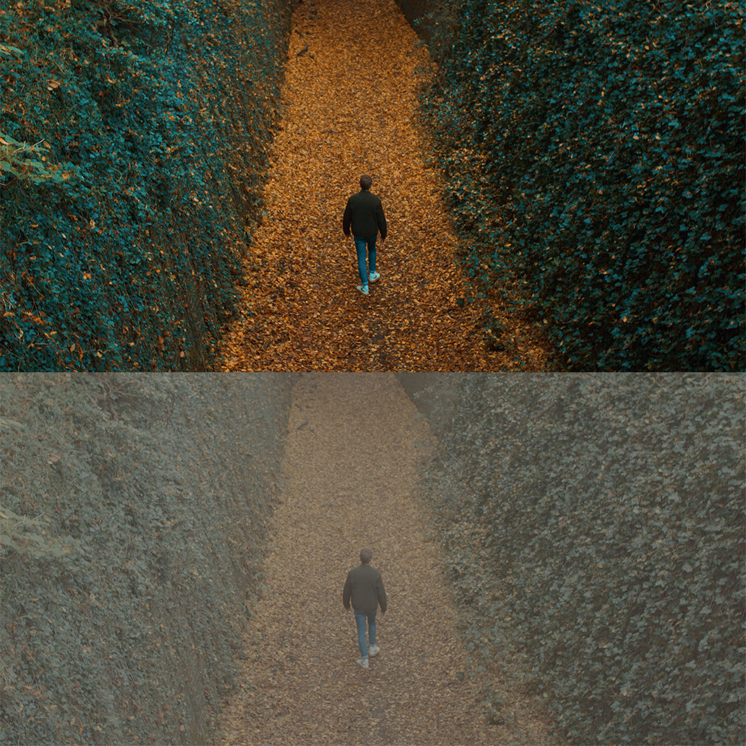 Ultra Sharp 'STANDARD' - FREE LUT